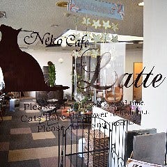21年 最新グルメ ねこカフェ ねこ酒場 らて 長岡 レストラン カフェ 居酒屋のネット予約 新潟版