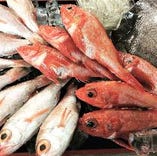 旬の鮮魚を豊洲市場から直接仕入れています。