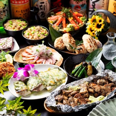 個室居酒屋 炭まろ 豊田市駅店_【迷ったらこれ！】夏の美食！炭まろの満足コース☆＜120分飲み放題付＞4500円