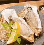 ～本日の鮮魚～北海道厚岸の生牡蠣