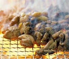 みやざき地頭鶏 みやこ 