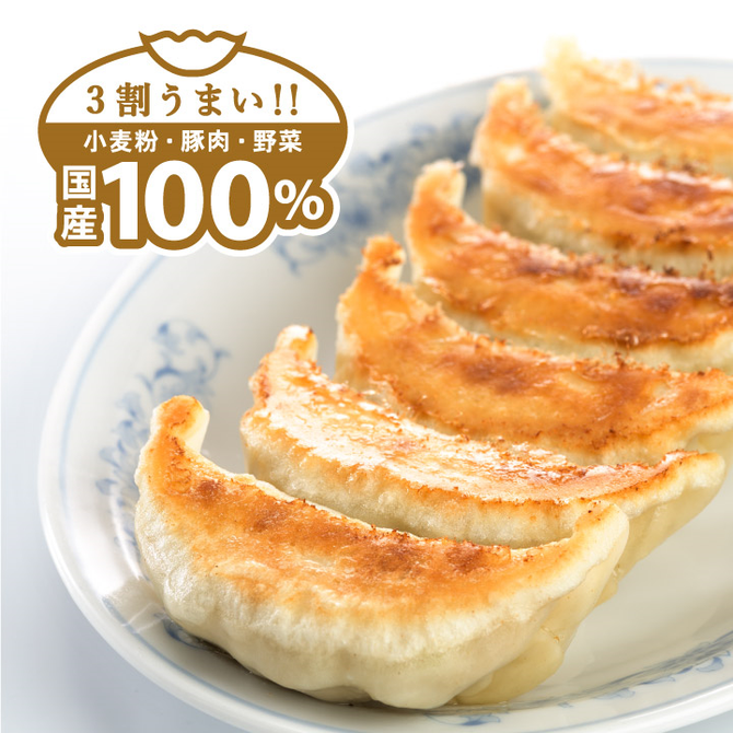 ぎょうざの満洲 航空公園駅前店 所沢 中華料理 ぐるなび