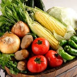 契約農家さんが丁寧に育て上げた有機野菜を毎日入荷