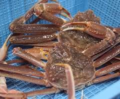 札幌かに本家 金山店 