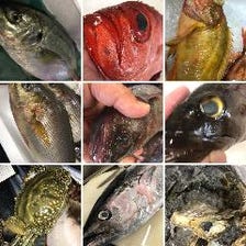 仕入れたての新鮮魚介のみを使用！