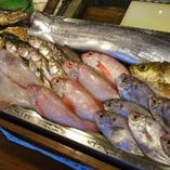 今月のお魚（仕入れ状況で変わります）