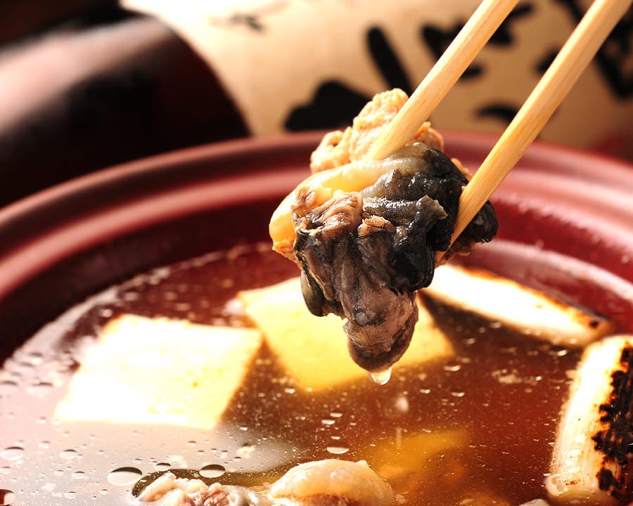 こころ 丸の内 市役所 すっぽん すっぽん料理 ぐるなび
