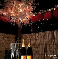カラオケラウンジ Compagno 麻布十番
