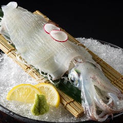 活ヤリイカ姿盛