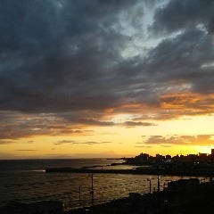 ビストロ マルコ ポーロ 