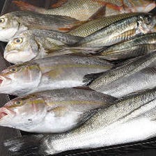 鹿児島から空輸で旬の魚を仕入れ！