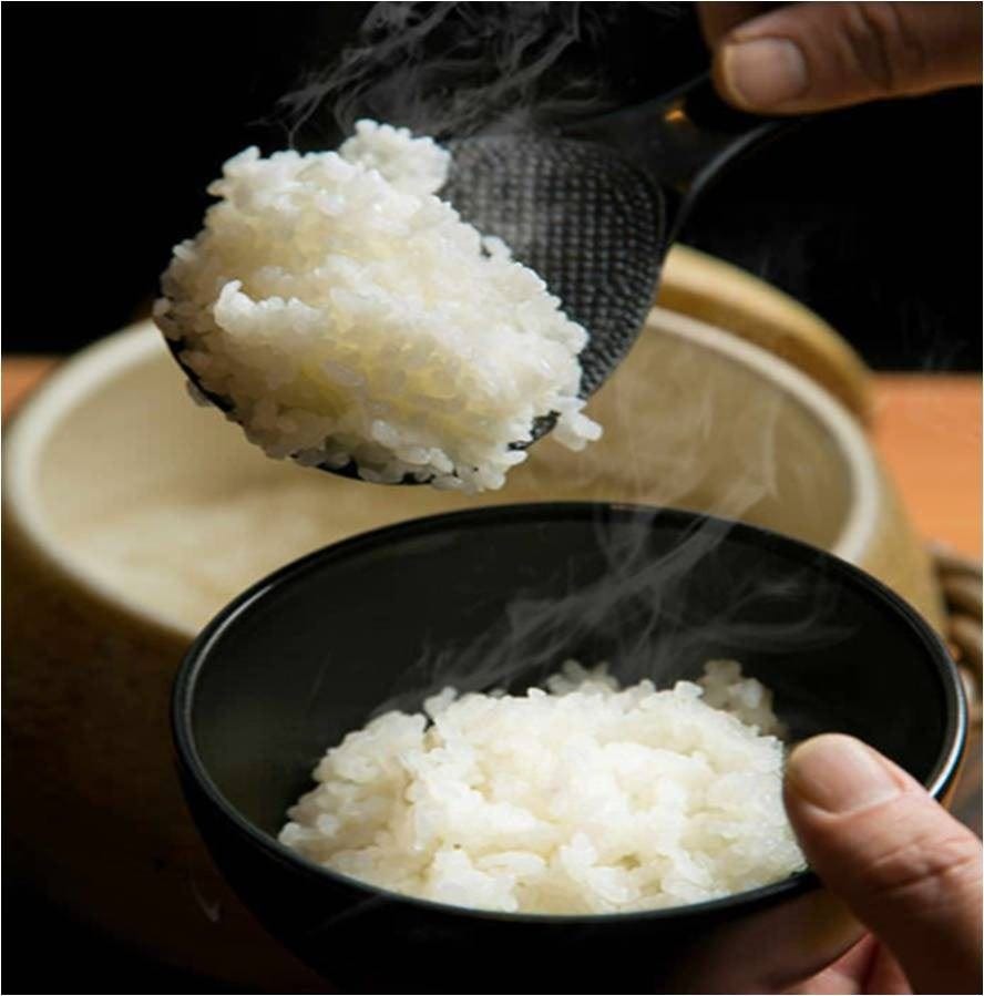 肉のとみい 綱島店 旨い焼肉と炊き立てご飯