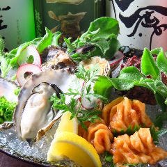 酒処 たつみ