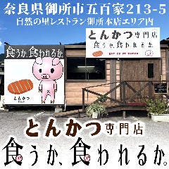 食うか食われるか