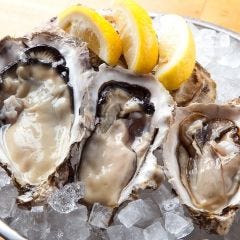 生牡蠣をはじめ、焼き牡蠣やカキフライなどの牡蠣料理もオススメ