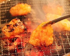 ホルモン焼道場 蔵 調布店