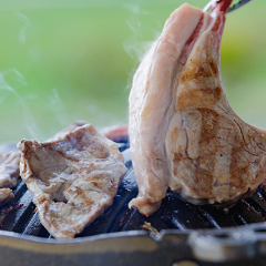 蒜山 ジンギスカーン 