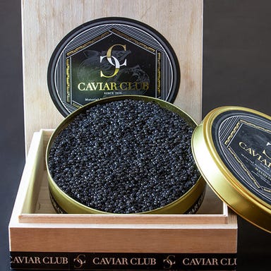 銀座 鮨 ふくじゅ_芸術品のような握りの数々