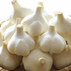 イタリアンバル Big Holiday 地図 写真 小山 下野 居酒屋 ぐるなび