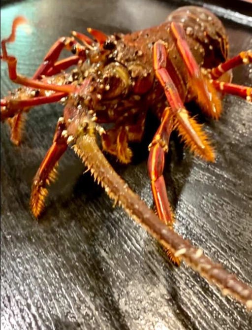 伊達魚貝料理 仙台藩 仙台 会席料理 ぐるなび