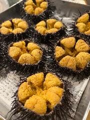 仙台藩ならではの直送ルートが凄い！