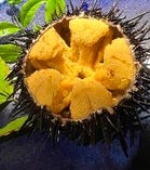 お料理16,500のコース! 上質なご接待ご会合に! (料理のみ)
