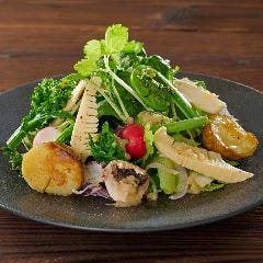 Dynamic Kitchen ＆ Bar 響 新宿サザンタワー店_柑橘と春山菜の十四種野菜サラダ　擦りおろし林檎ドレッシング