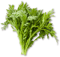 荒井屋 メニュー 荒井屋のご紹介 ぐるなび