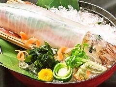 魚鮮水産 さかなや道場 巣鴨駅前店
