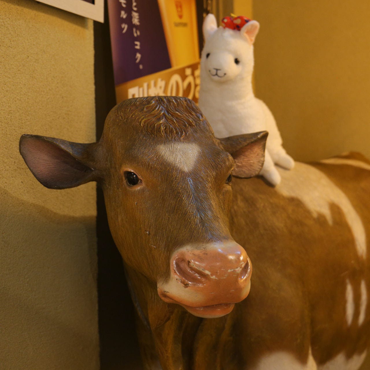 個室 チーズと肉 Hokkai Farm ～ホッカイファーム～ 福山店