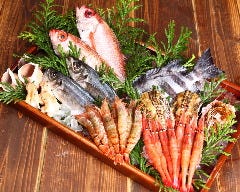 近江町市場の厳選『日本海の魚達』