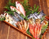 近江町市場の厳選『日本海の魚達』【日本海】