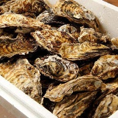 渋谷 牡蠣入レ時