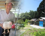 山口の直営養鶏場“長門俵山農場”
安心・安全な鶏は鮮度抜群！