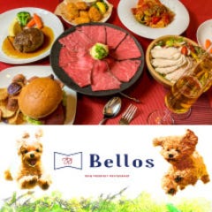 Bellos（ベローズ）新松戸店 