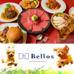 Bellos（ベローズ）新松戸店