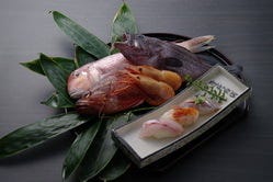 元禄鮨 守谷 寿司屋 ぐるなび