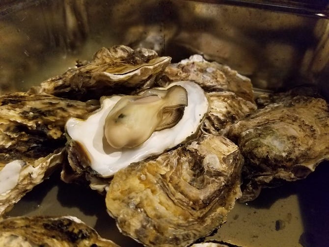 魚居酒屋 あぷちゃ 本店（新大阪駅/魚料理） - 楽天ぐるなび