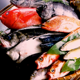 鮮度抜群の新鮮鮮魚【豊洲市場】