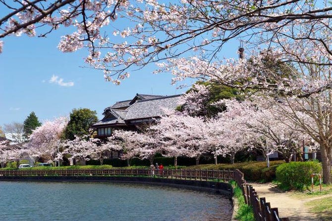 八鶴亭 東金 九十九里 洋食屋 ぐるなび