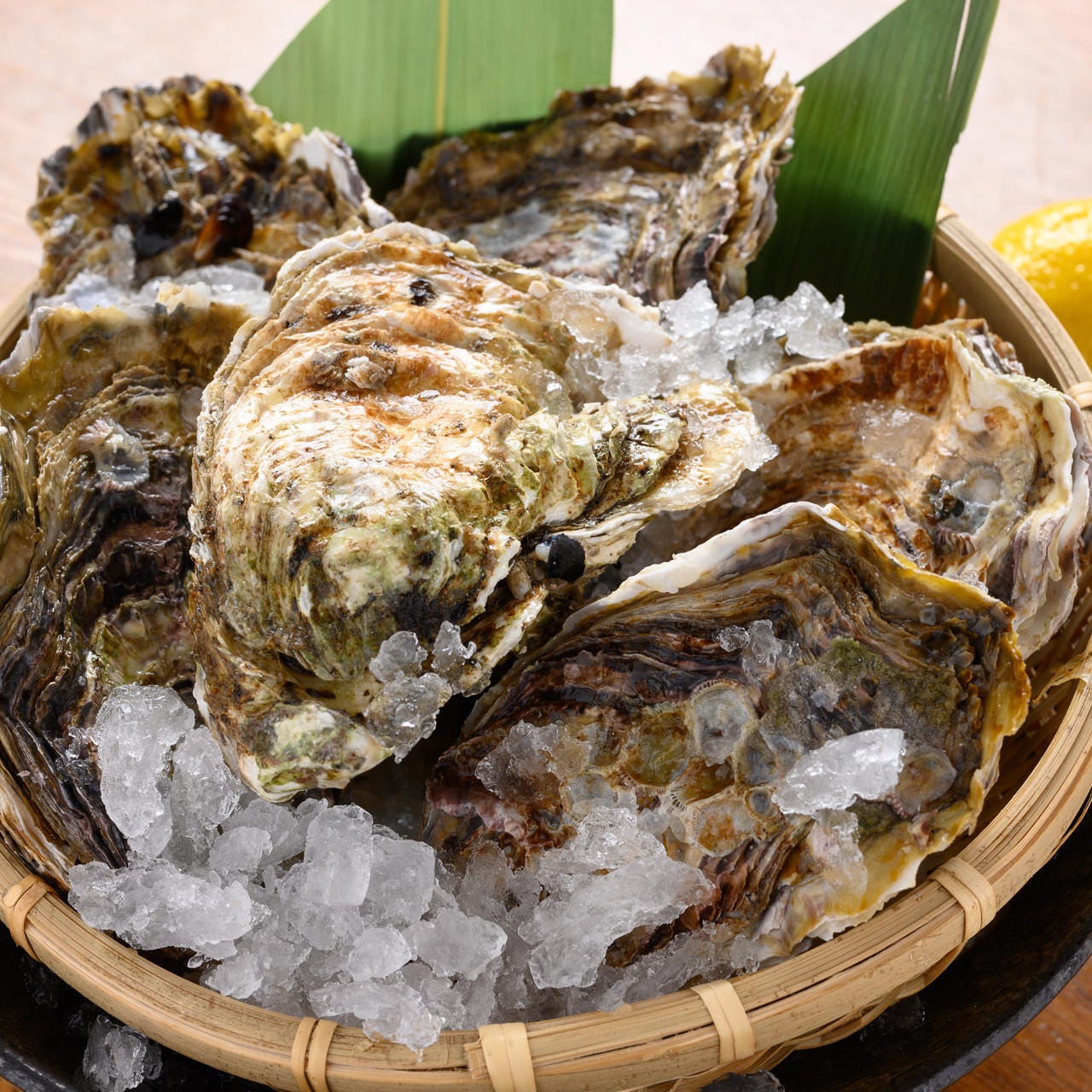 大漁酒場 魚樽袋町支店（広島市/魚料理） - ぐるなび