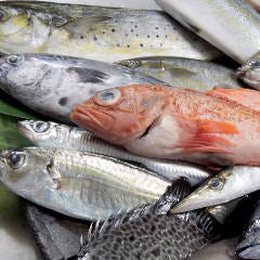 九州料理 個室 おいどん 西新宿店 自慢の食材 鹿児島江口漁港 錦江湾直送 鮮魚 ぐるなび 九州料理 個室 おいどん 西新宿店 自慢の食材 鹿児島江口漁港 錦江湾直送 鮮魚 ぐるなび