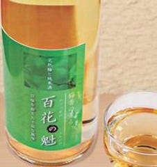 いなたや 丸の内パレスビル店_純米梅酒 『百花の魁（ひゃっかのさきがけ）』