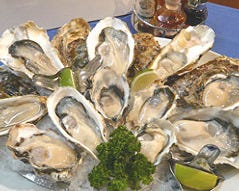 Oyster Bar ジャックポット下北沢 