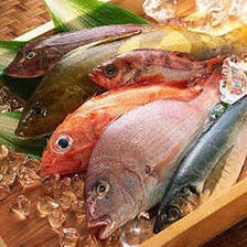 三浦半島から届く新鮮な魚介