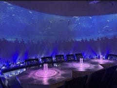 美空間BAR wankara 