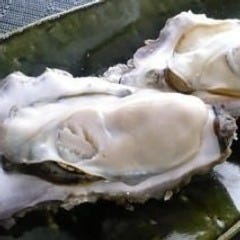 隠れ家個室居酒屋 ひなた Hinata 広島店 自慢の食材 広島産の絶品牡蠣 ぐるなび