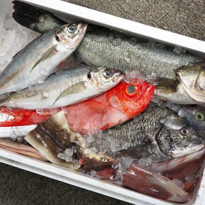 美味しいお店が見つかる 兵庫県の回転寿司でおすすめしたい人気のお店 ぐるなび