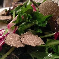 トリュフと鎌倉野菜のサラダSP