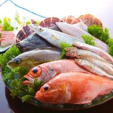 刺身や鍋、産地直送の鮮魚　